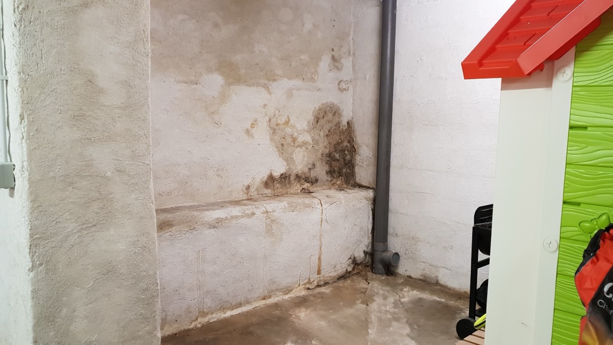 Infiltrations d'eau - Expertise humidité à Poitiers